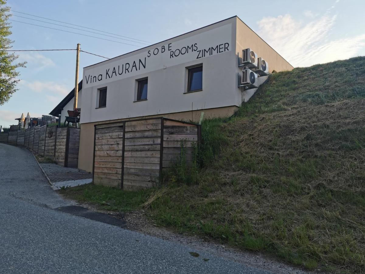 Sobe, Rooms B&B - Vina Kauran Zgornji Jakobski Dol 外观 照片